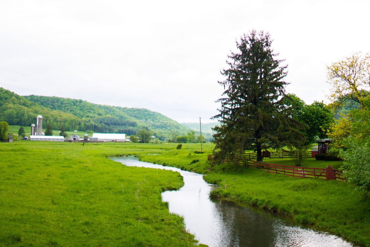 Fly Fishing the Driftless Area around Viroqua, Wisconsin